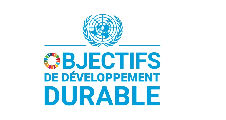 Logo objectif de développement durable